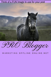 Fun Images Pro Blogger